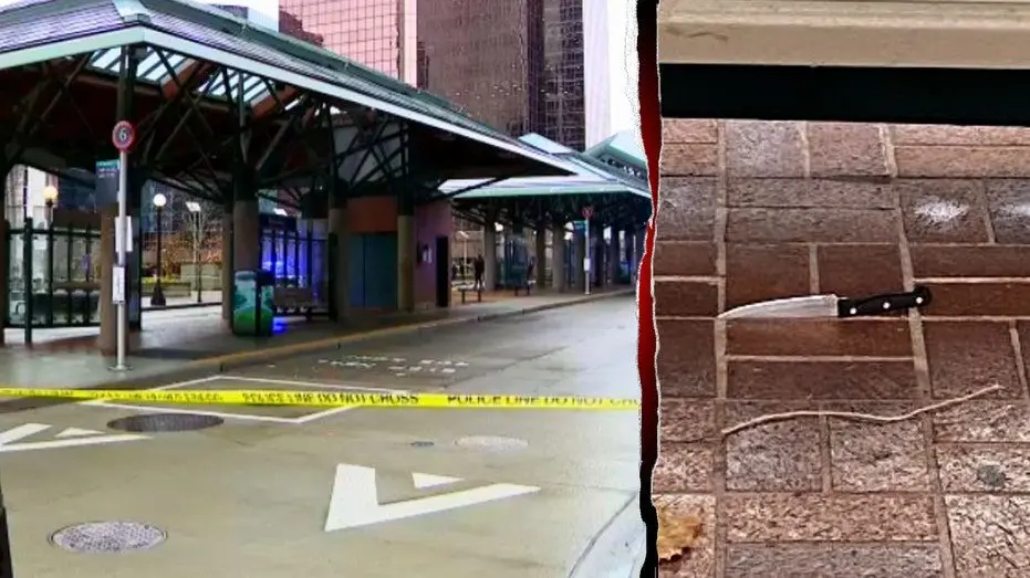 bellevue-police-stabbing522977