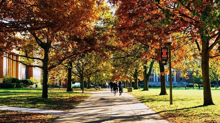 university-illinois-campus668124