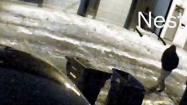 dentist-murder-person-of-interest-fox-news-001-1656500