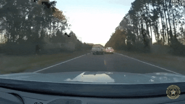 police-chase-florida-fox-news-2388504