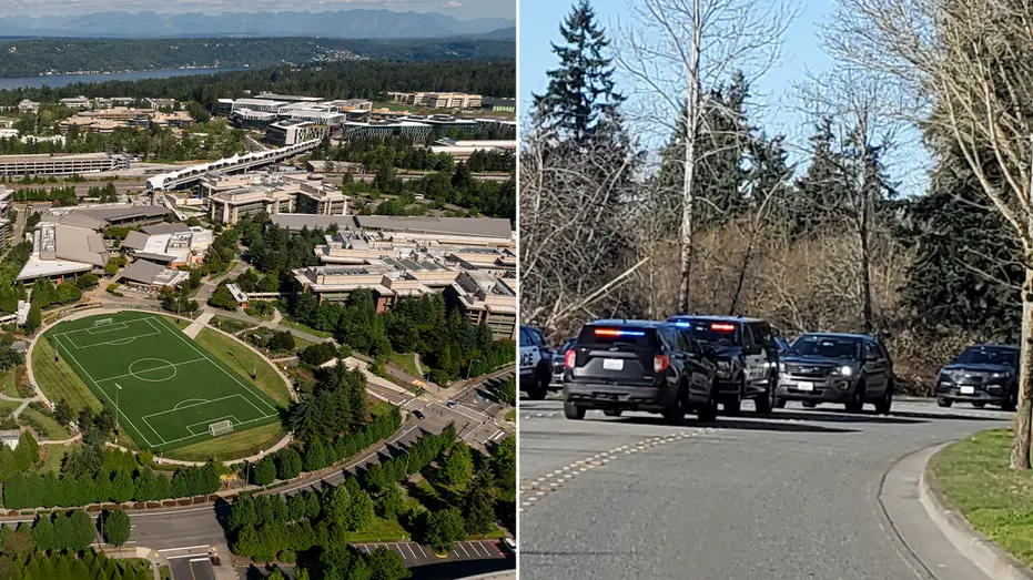 redmond-stabbing-3533641