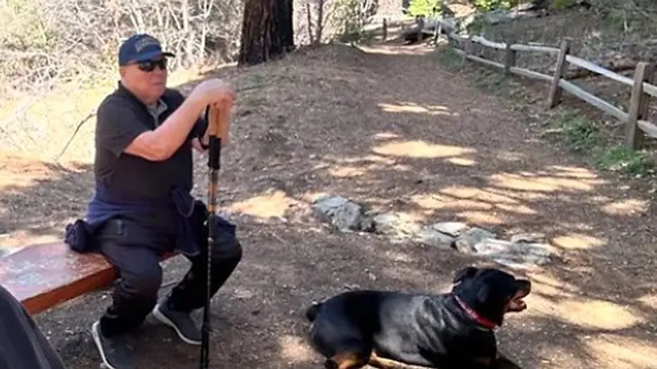 andriy-korshunov-dog795374