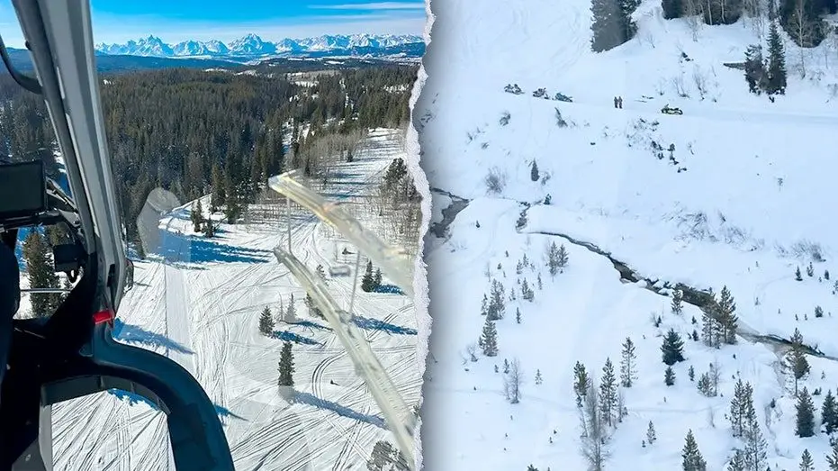 teaton-search-and-rescue-accidents183466