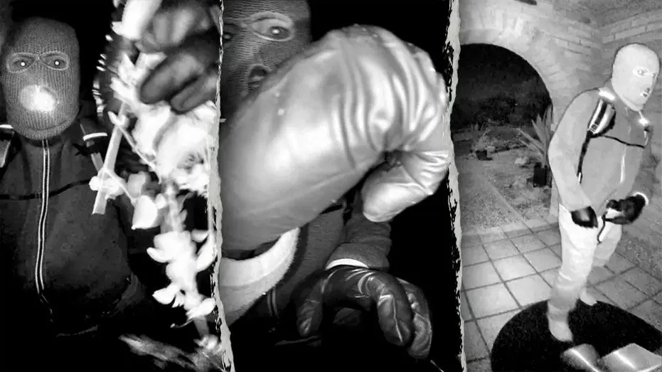 guthrie-alleged-suspect-grabs910984