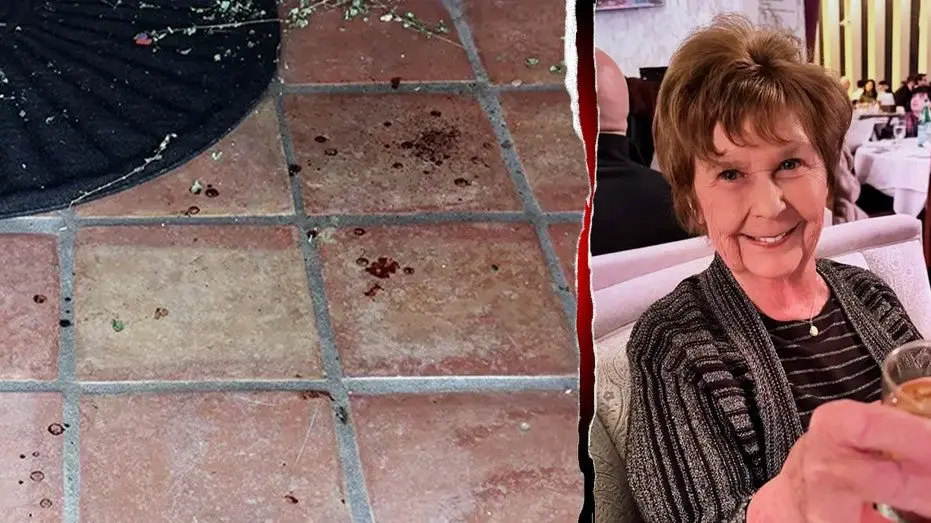 nancy-guthrie-arizona-blood_01684456