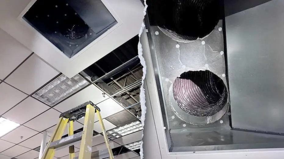 georgia-burglary-dekalb-county-k9445812