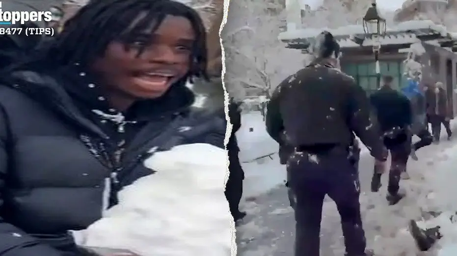 nypd-snowball-suspect107845