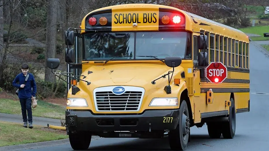 georgia-school-bus449544