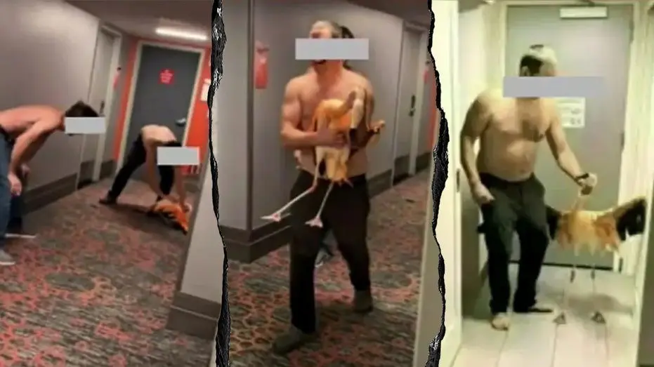 flamingo-hotel-las-vegas-01562703