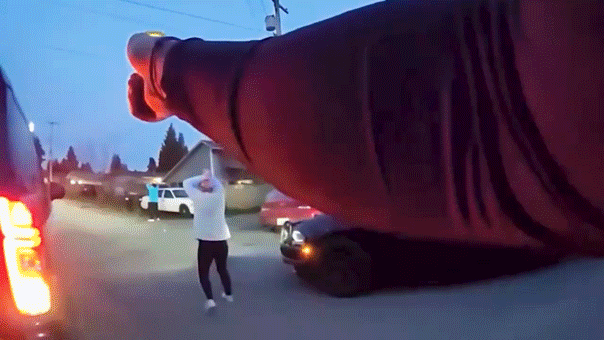 police-chase-arrest688410