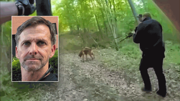 stewart-co-manhunt282239