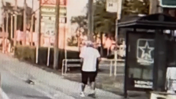 tampa-bus-stop-elderly-attack-suspect-arrested-001259918