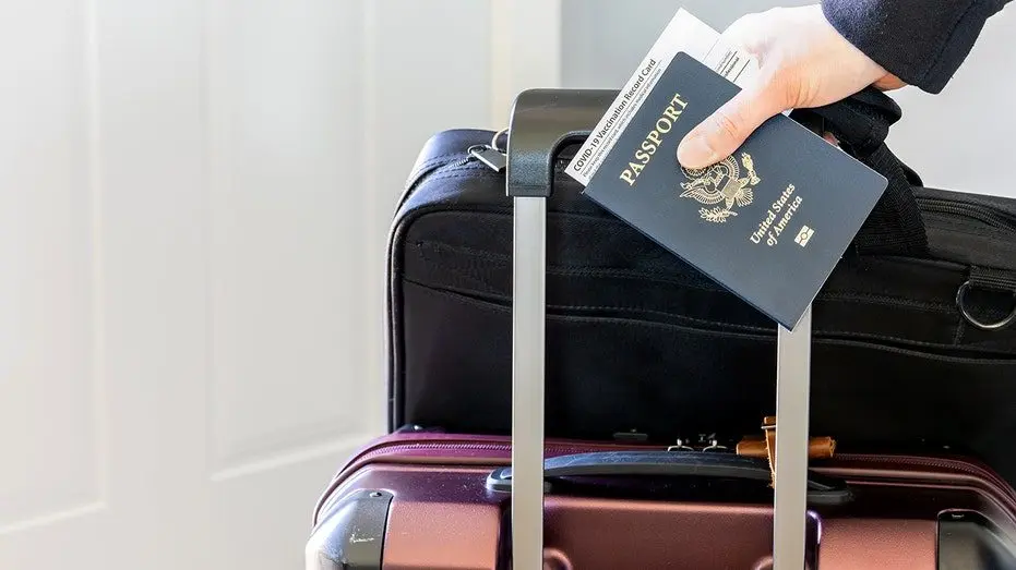 woman-holding-passport-luggage617846