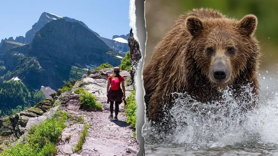 montana-national-park-bear-attack-fox-news-001234630