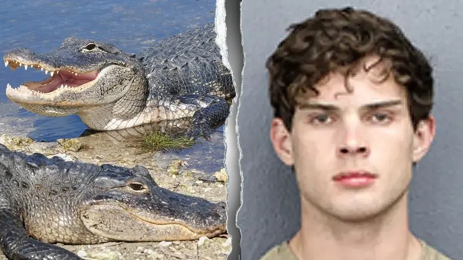 braden-peters-firearm-charge-fox-news-001288224
