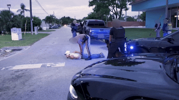 ice-apprehension-ms13-fox-news-01553786