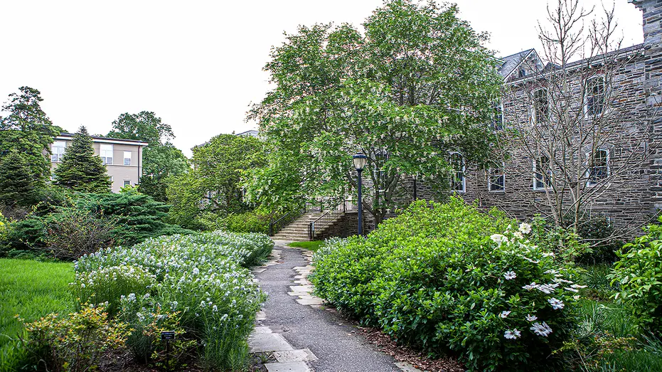 trotter-hall-old-science-hall-swarthmore-college789634