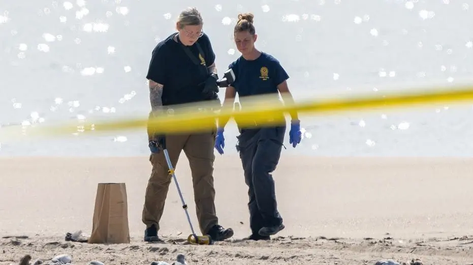 coney-island-boardwalk-tragedy837584