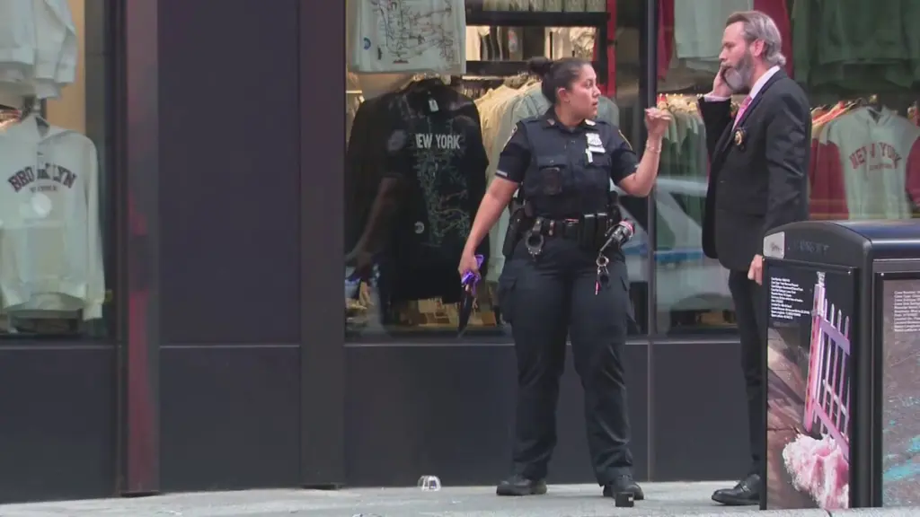 nyc-timessquare-stabbing360258