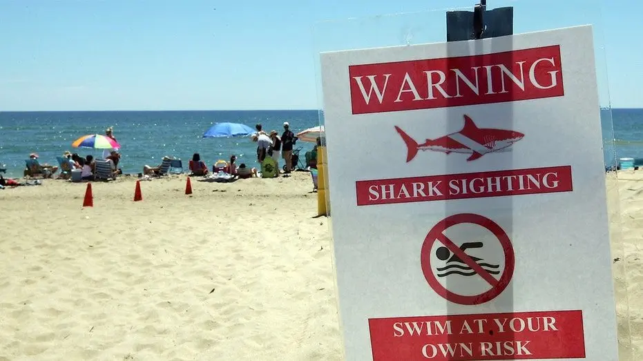 shark-warning-beach724563