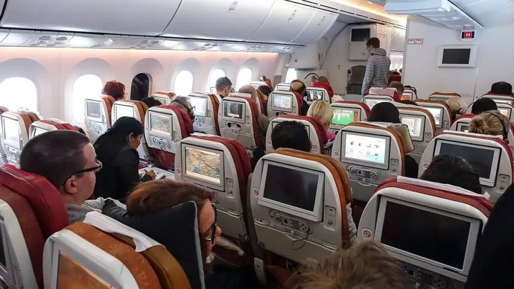 air-india-interior-plane94656