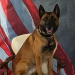 Kansas K-9 Officer dies in an accident while on duty