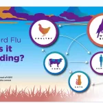 KDHE provides update on bird flu risk in Kansas