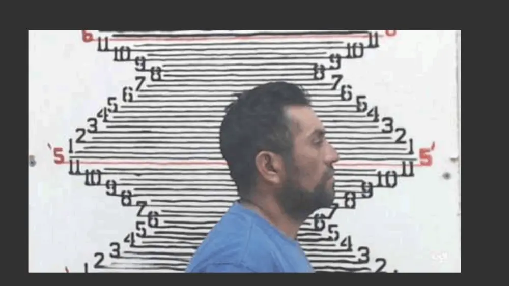 1757953852049418411