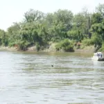 Missouri/Big Sioux paddlefish season opens Feb. 1st; tags now on sale