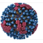 Avian Influenza Confirmed in Southwest Iowa Geese