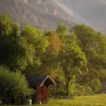 Iowa expert warns homeowners: hands off ice-covered trees to prevent damage