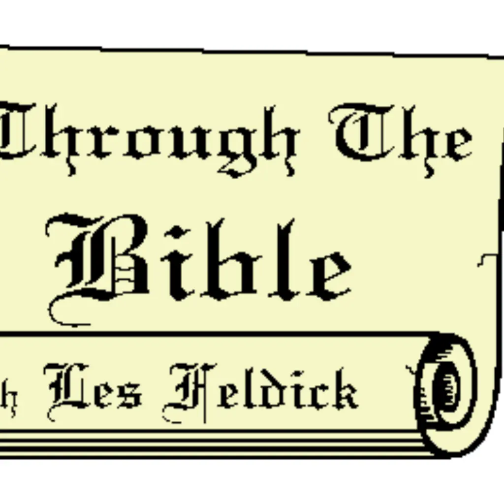 website-show-les-feldick