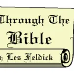 website-show-les-feldick