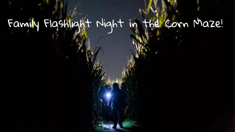 flashlight-night