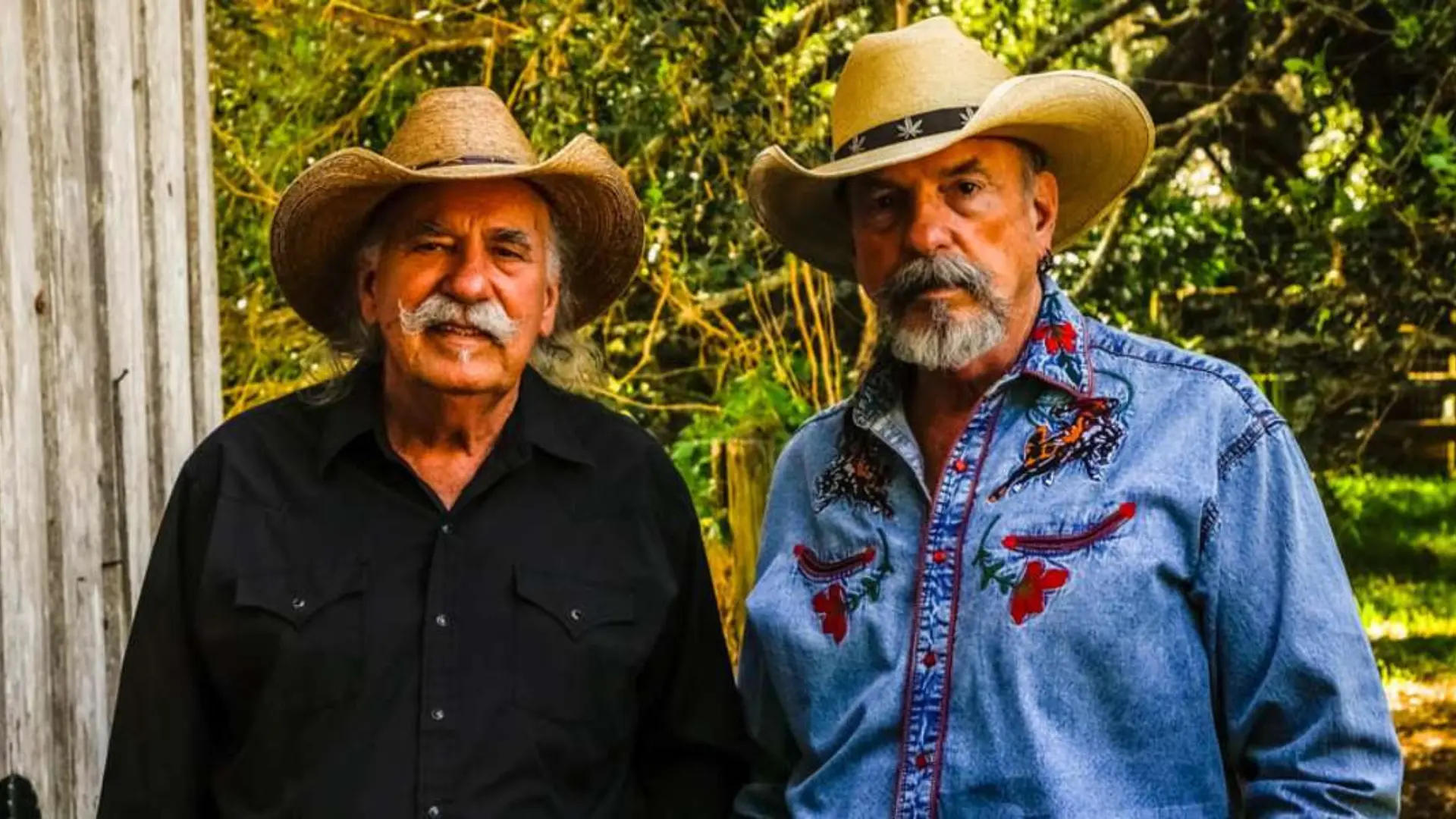 bellamy-bros-medina