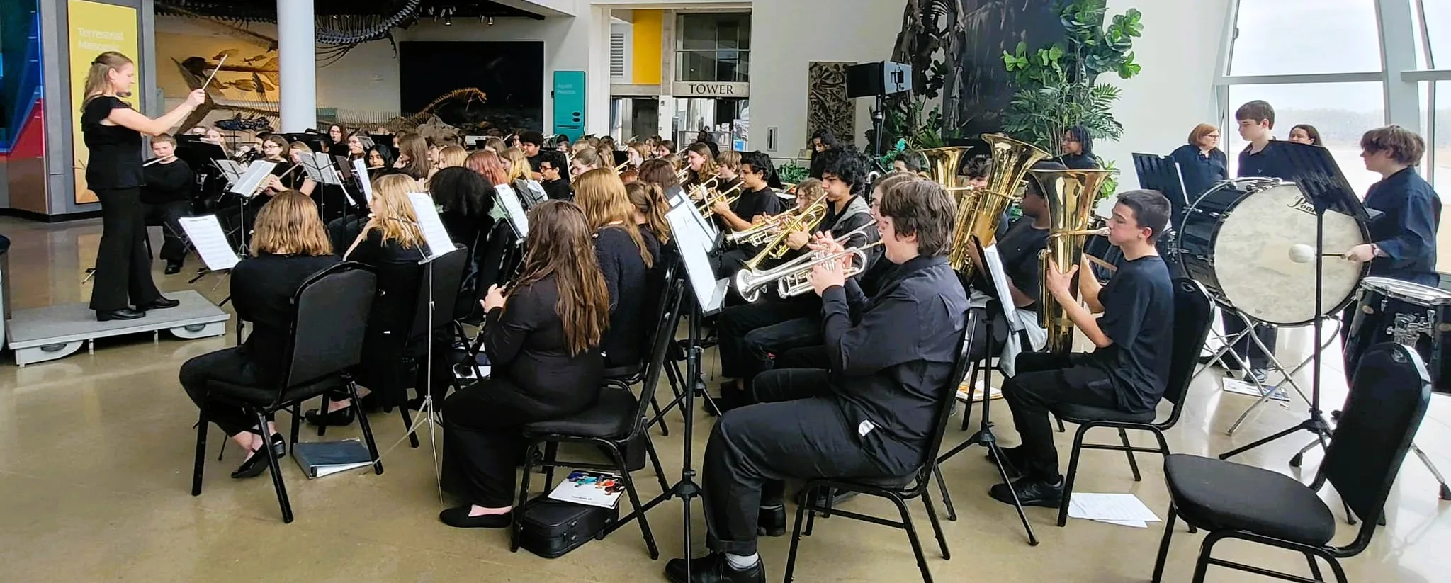 hc-band-at-dpa