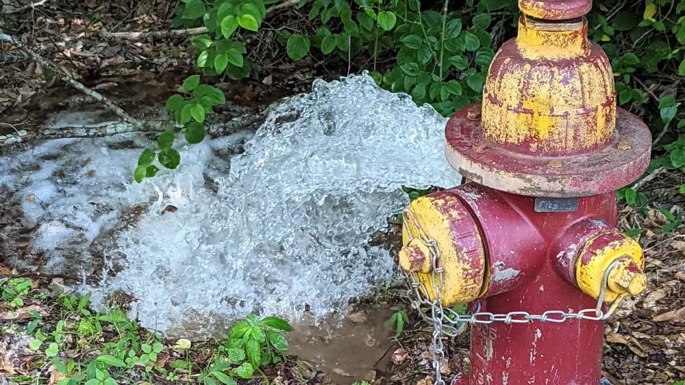 bpu-hydrant-4