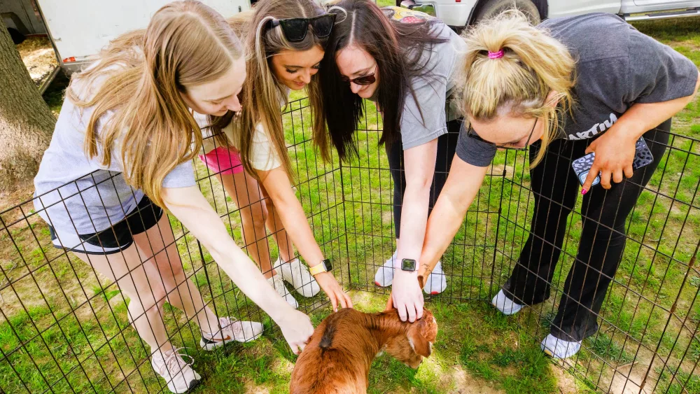 utm-petting-zoo