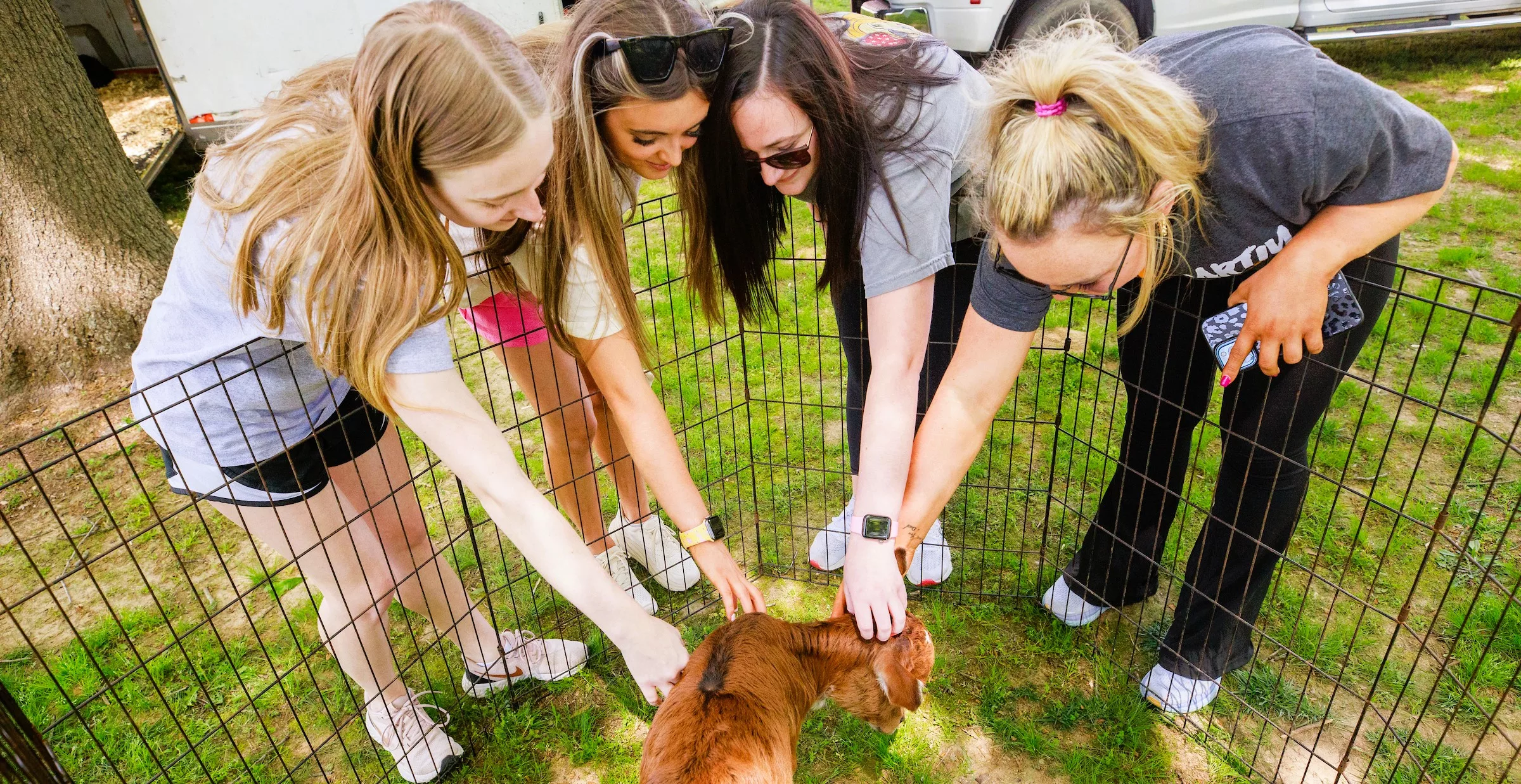 utm-petting-zoo