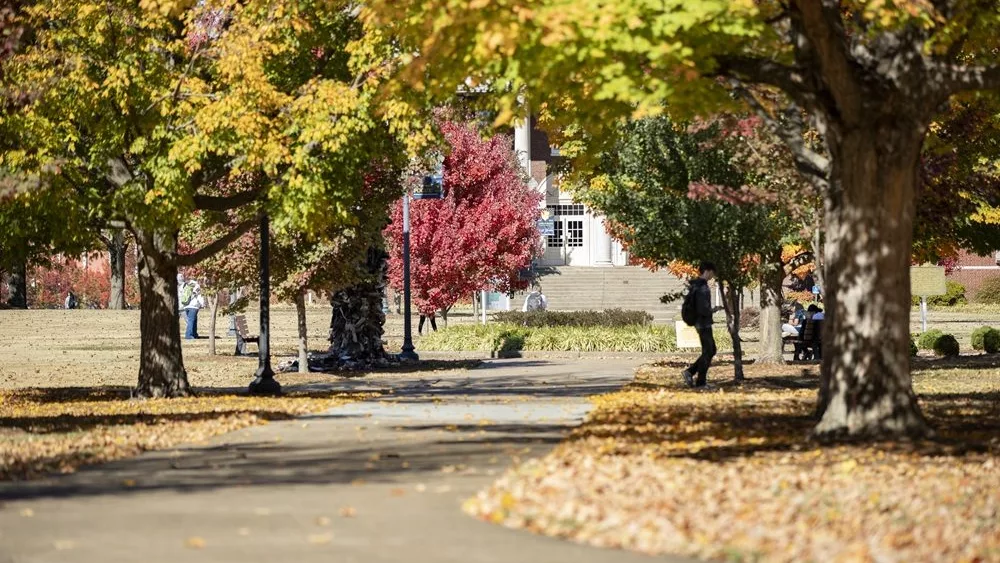 msu-tree-campus