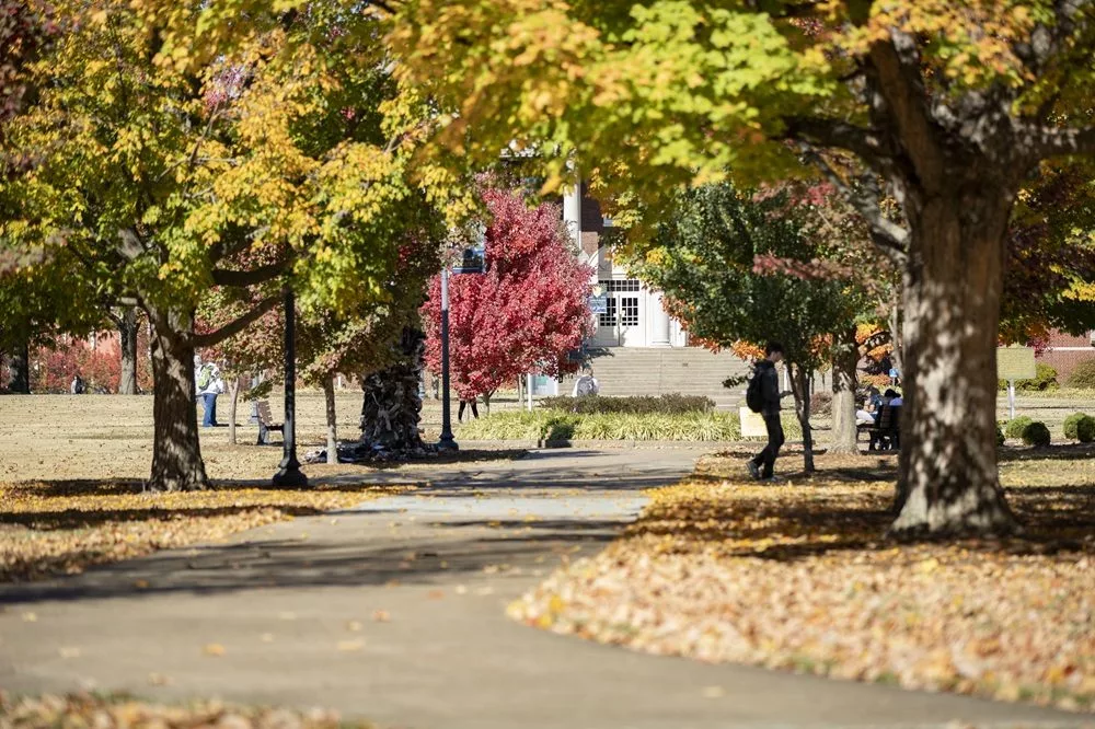 msu-tree-campus