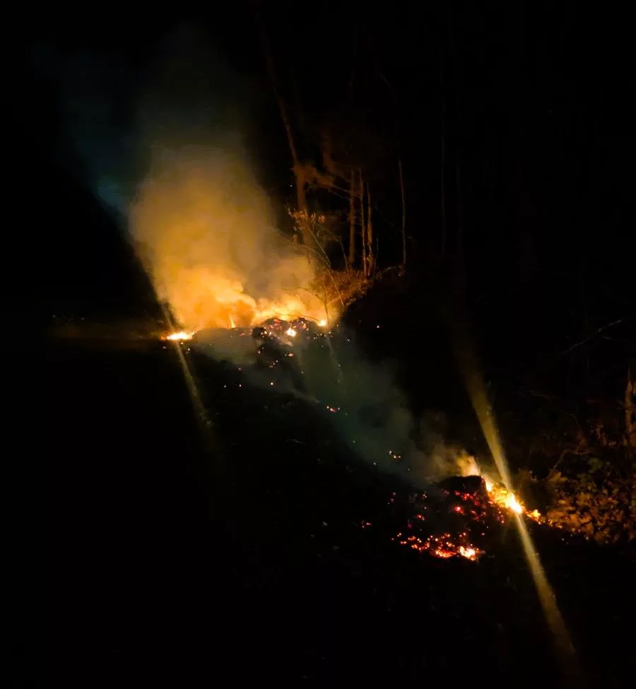 pl-brush-fire