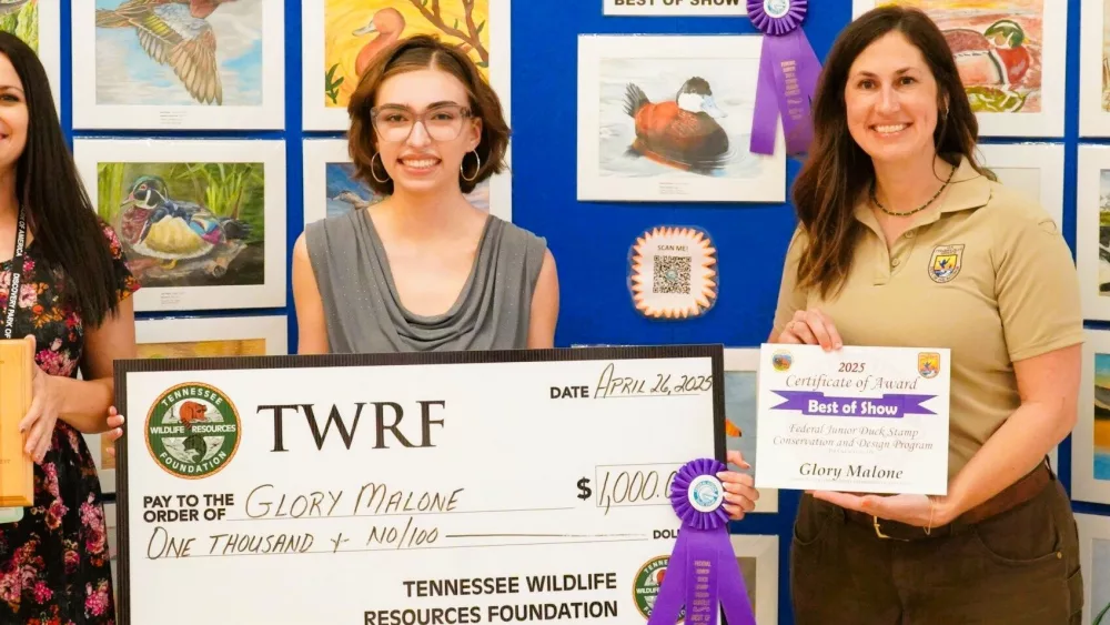 duck-stamp-winner-dover