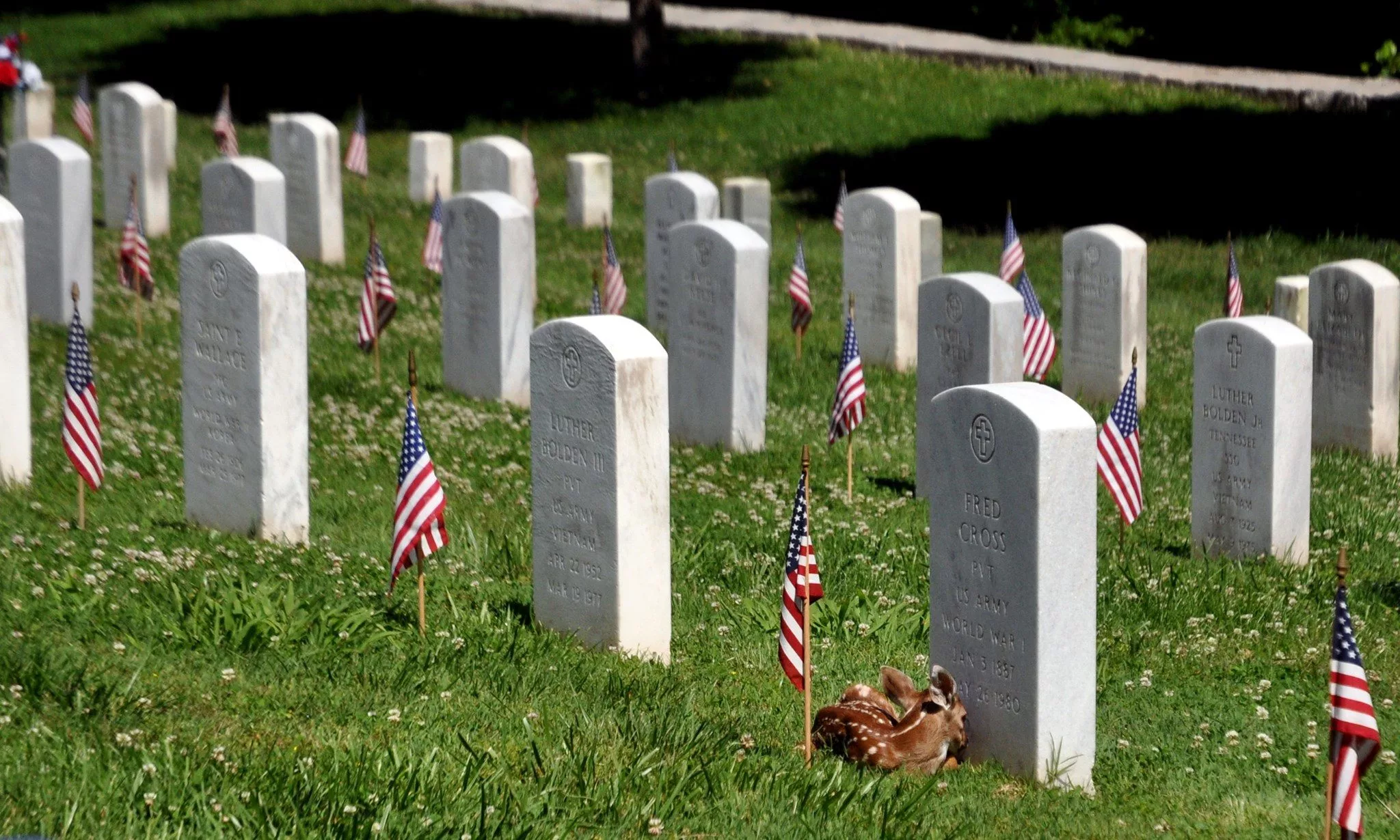 ft-d-graves-3