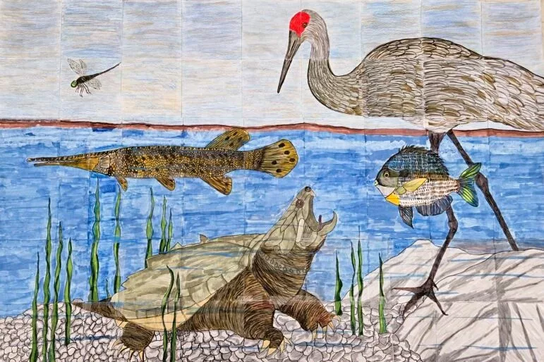 biodiversity