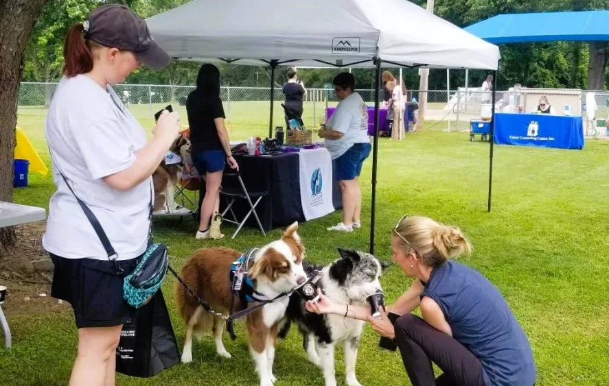 bark-2-jamie-w-dogs-2