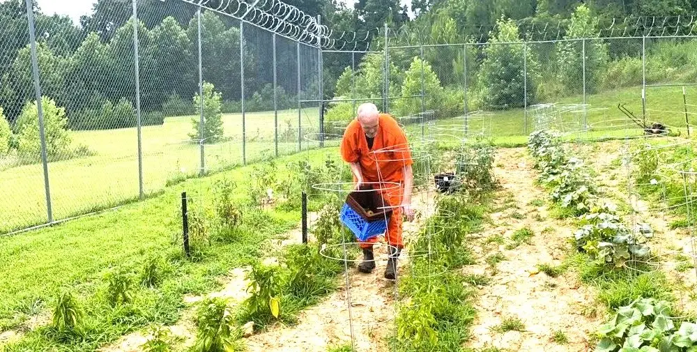 stew-co-garden