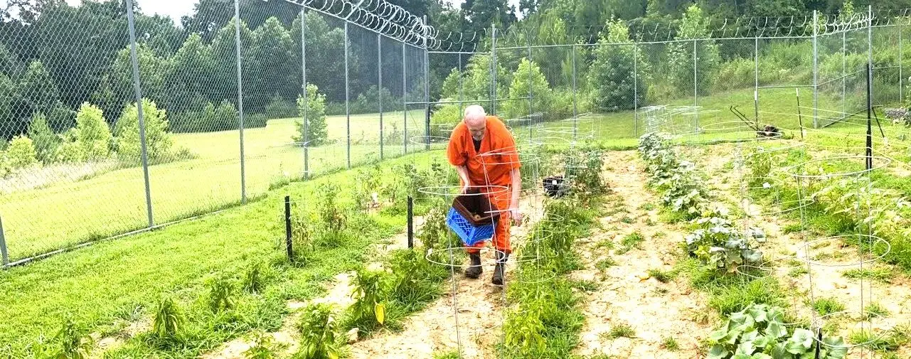 stew-co-garden