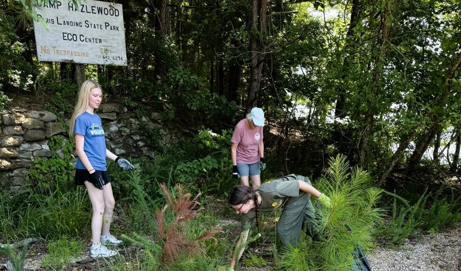 camp-hazelwood-cleanup