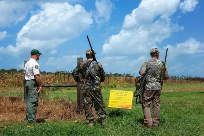 tn-dove-season-e1628974016824